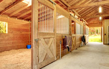 Ruthwell stable construction leads